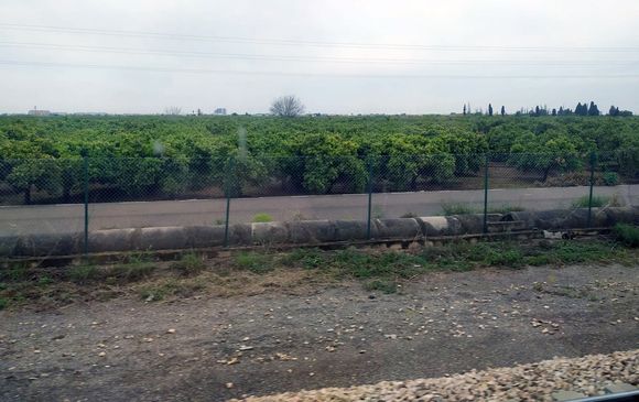 Vistas al campo por la ventana del tren